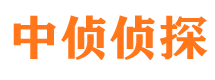 宏伟市婚外情调查